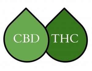 CBD v THC