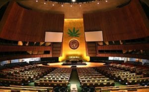 UN weed report